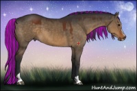 Horse Color:Painted Brown Dun Sabino 
