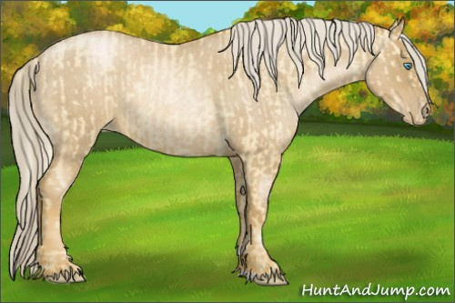 Horse Color:Palomino Roan Pearl  and Gray Palomino Roan Pearl 