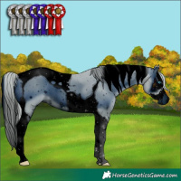 Horse Color:ERROR: UNKNOWN ANOMALY