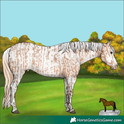 Horse Color:Silver Brown Dun Sabino and Grullo Pearl Sabino Tobiano Varnish
