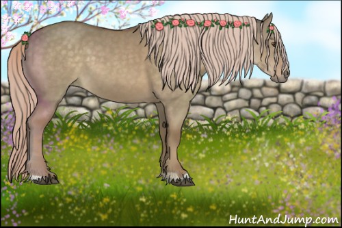 Horse Color:Chocolate Palomino Dun 