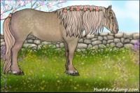 Horse Color:Chocolate Palomino Dun