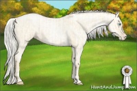 Horse Color:Palomino Roan Pearl  and Gold Cream Champagne Roan Pearl 