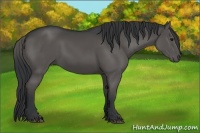 Horse Color:Black Sabino