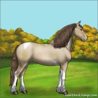 Horse Color:Grullo Pearl Sabino Tobiano 