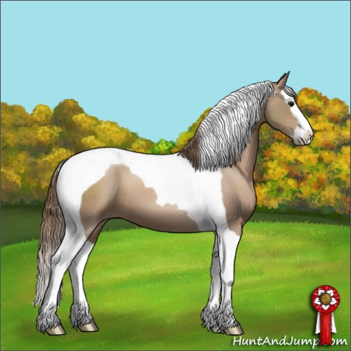 Horse Color:Black Pearl Sabino Splash Tobiano 