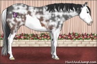 Horse Color:Brown Ice Splash