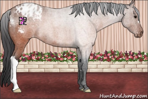 Horse Color:Brown Roan Blanket 