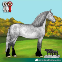 Horse Color:Silver Brown Chinchilla Dun 