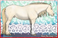 Horse Color:Palomino Roan Pearl and Buckskin Roan Pearl