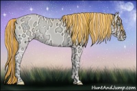Horse Color:Painted Buckskin Ice Roan Pearl Onyx 