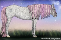 Horse Color:Painted Perlino Ice Roan Onyx 