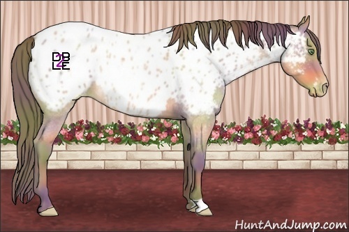 Horse Color:Nacre Amber Champagne Roan Near Leopard