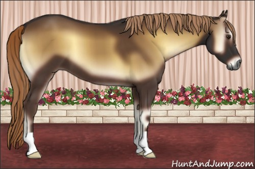 Horse Color:Gray Red Onyx