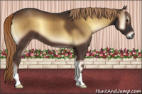 Horse Color:Gray Red Onyx 