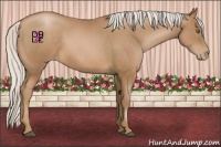 Horse Color:Silver Brown Pearl