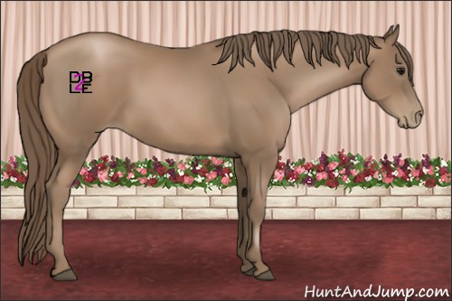 Horse Color:Black Pearl