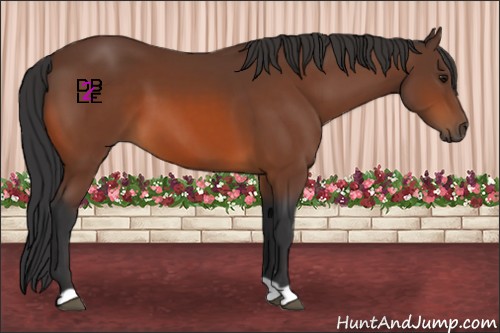Horse Color:Brown 