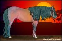 Horse Color:Watercolor Brown 