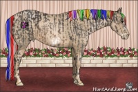 Horse Color:Painted Buckskin Frame and Painted Chocolate Palomino Pearl