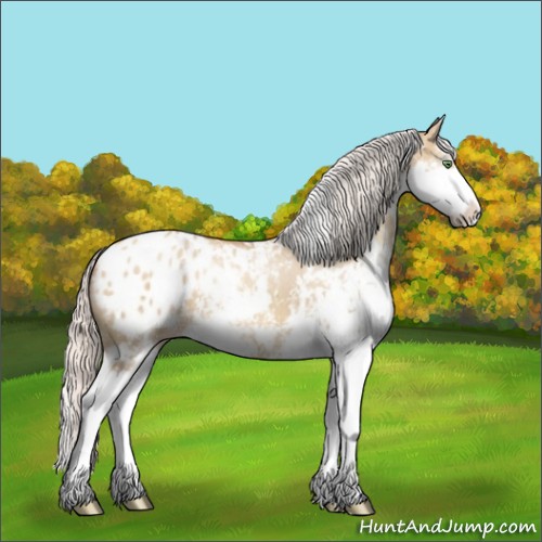 Horse Color:Silver Classic Champagne Dun Sabino Appaloosa 