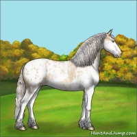 Horse Color:Silver Classic Champagne Dun Sabino Appaloosa 