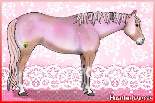 Horse Color:Watercolor Silver Blue Onyx 