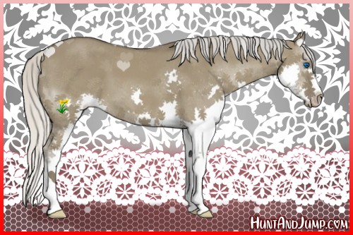 Horse Color:Silver Grullo Splash