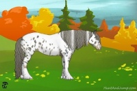 Horse Color:Liver Chestnut Ice Mushroom Tobiano Near Leopard