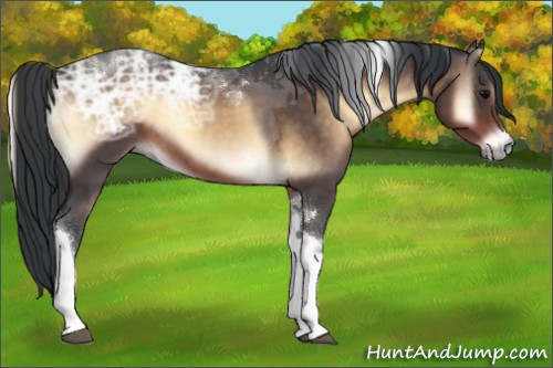 Horse Color:Brown Ice Onyx Tobiano 