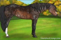 Horse Color:Brown Ice 