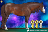 Horse Color:Chocolate Brown 