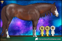 Horse Color:Chocolate Brown
