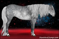 Horse Color:Silver Black Chinchilla