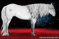 Horse Color:Silver Blue Chinchilla Roan Pearl
