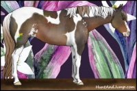 Horse Color:Liver Chestnut Sabino Tobiano 