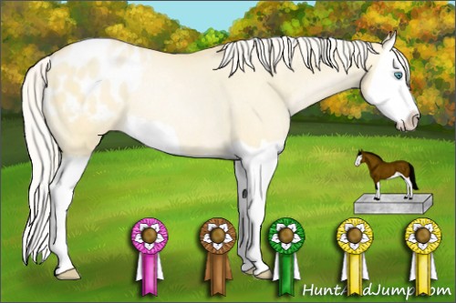 Horse Color:Silver Buckskin Pearl Dun Splash Appaloosa Rabicano 