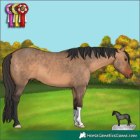 Horse Color:Bay Dun