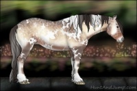 Horse Color:White Spotted Liver Red Onyx Ice