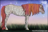 Horse Color:Painted Buckskin Ice Pearl Onyx 