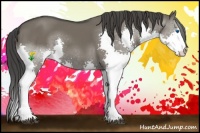 Horse Color:Smoky Grullo Splash 