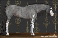 Horse Color:Liver Red Roan Sabino 