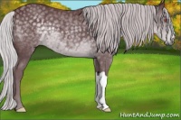 Horse Color:Chocolate Silver Black Chinchilla 