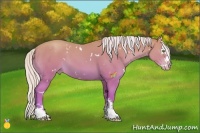Horse Color:White Spotted Silver Classic Champagne Splash