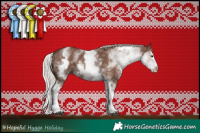 Horse Color:White Spotted Silver Black Splash 