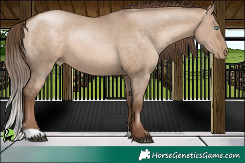 Horse Color:Brown Pearl Dun 