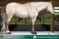 Horse Color:Brown Pearl Dun