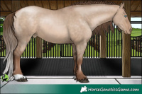 Horse Color:Brown Pearl Dun 