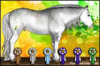 Horse Color:Silver Blue Onyx Chinchilla Splash 