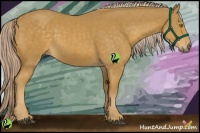 Horse Color:Palomino